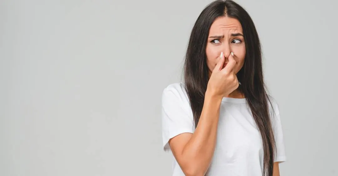 Pérolas do Streaming: o melhor do Netflix e do MUBI em setembro de 2025